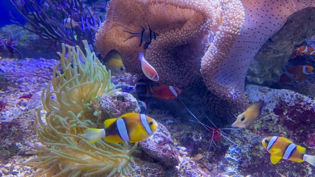 水族館